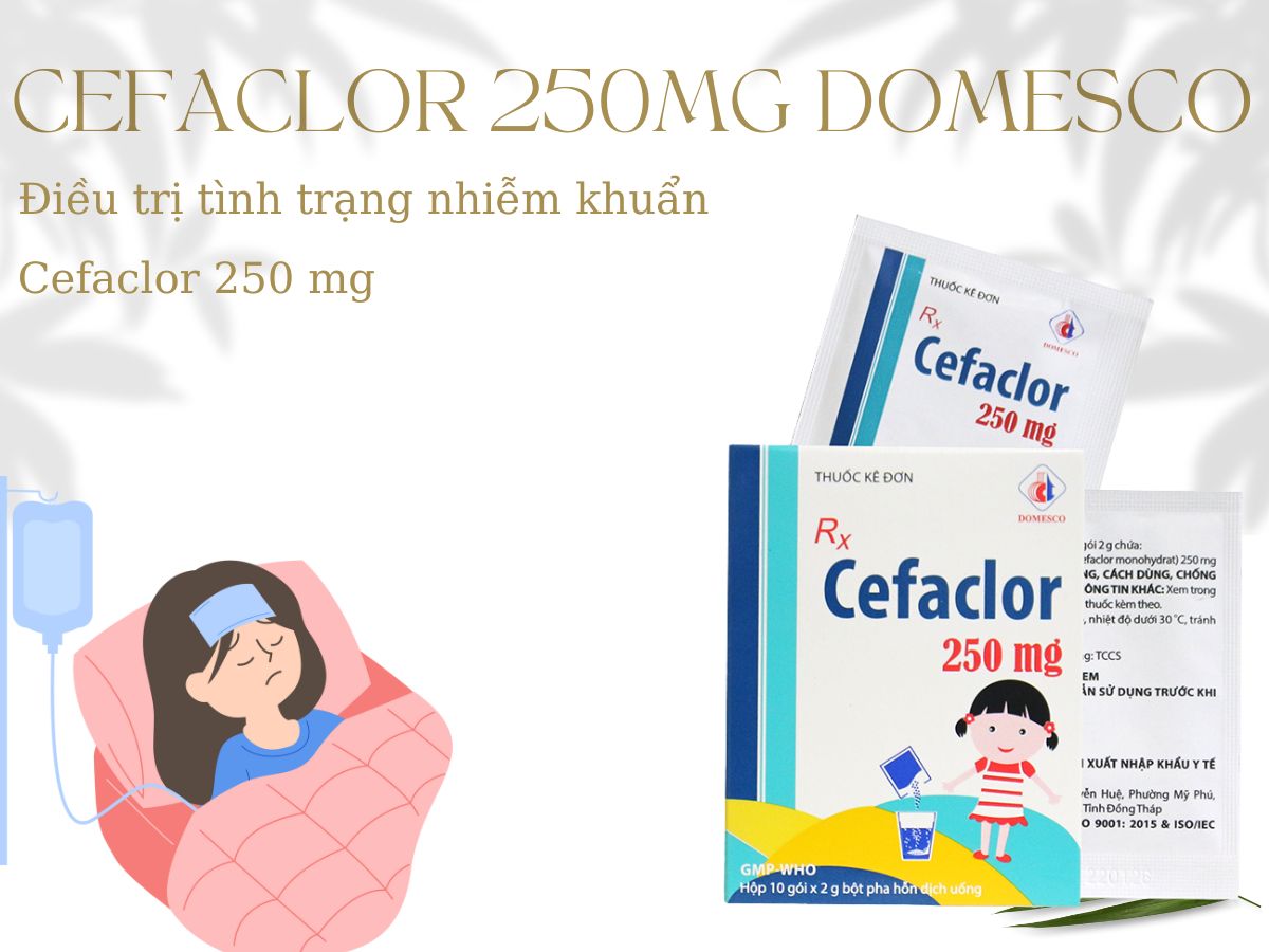 Thuốc Cefaclor 250mg Domesco điều trị nhiễm khuẩn hô hấp nhẹ và vừa