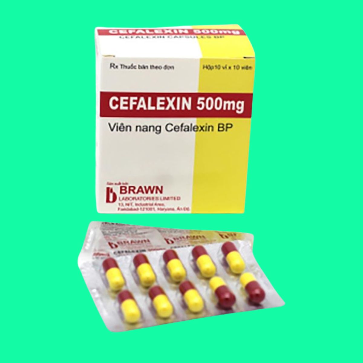 Cefalexin 500mg Brawn (1) Cefalexin 500mg Brawn