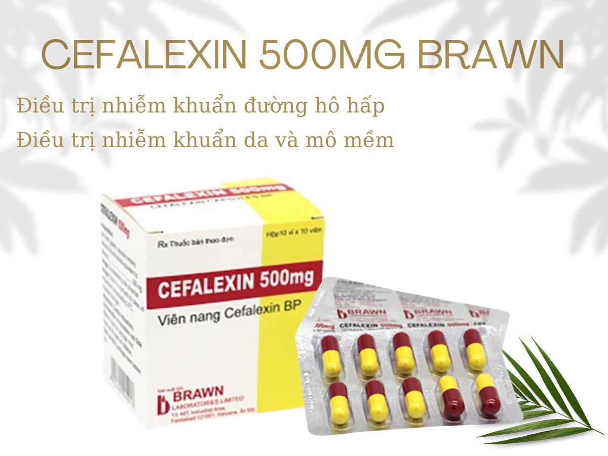 Cefalexin 500mg Brawn 9 Cefalexin 500mg Brawn điều trị tình trạng nhiễm khuẩn