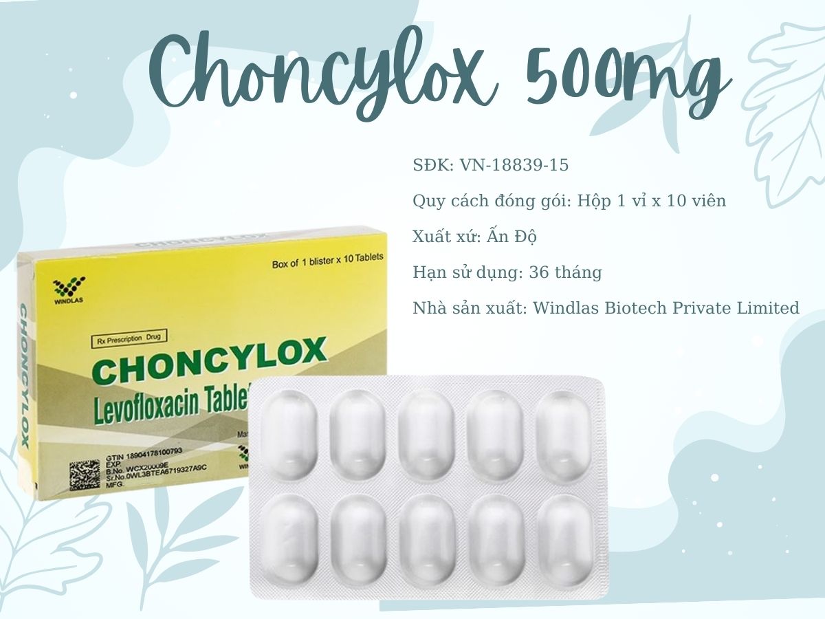 Choncylox 500mg 9 Thông tin sản phẩm Choncylox 500mg