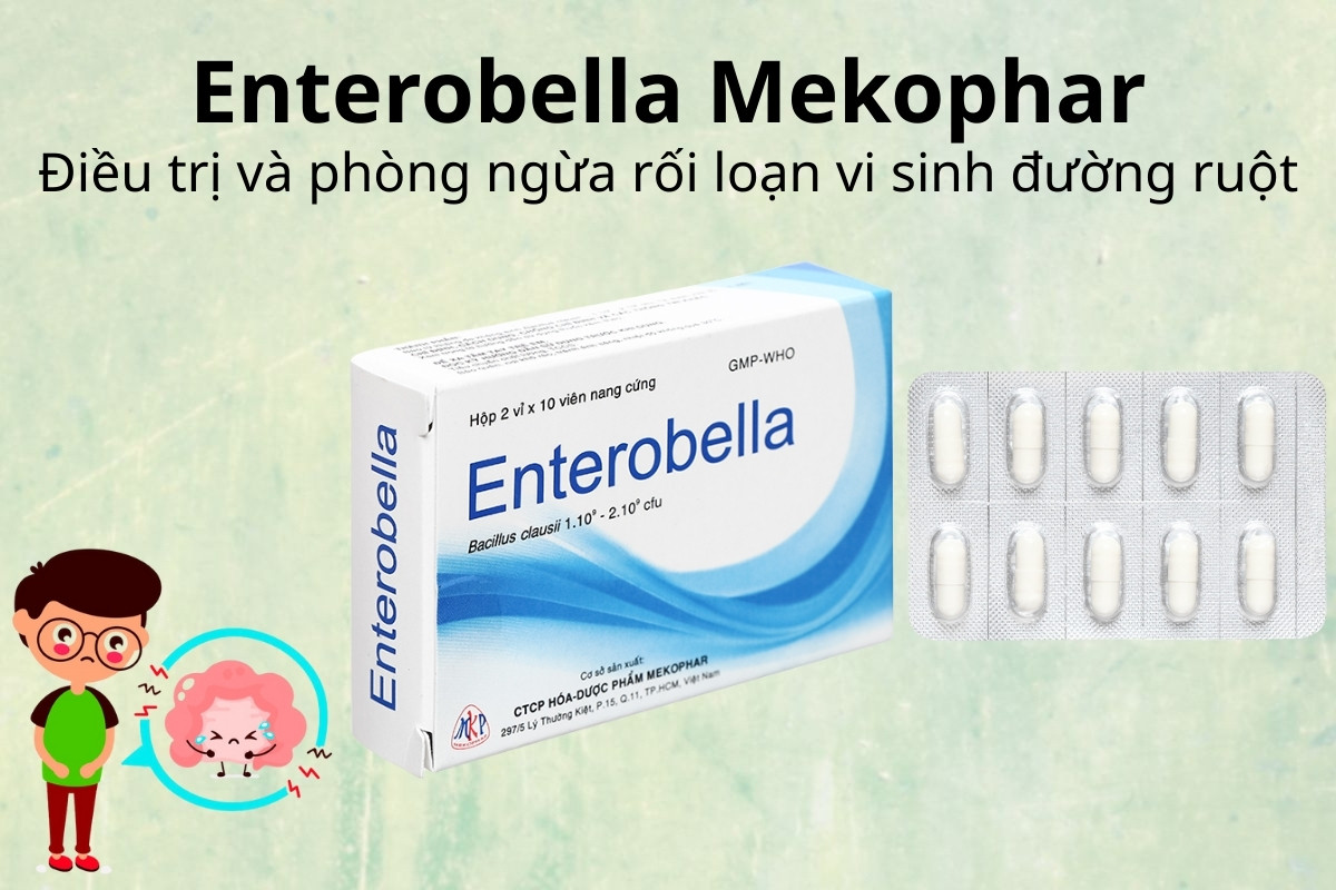 Enterobella (viên) 9 Enterobella điều trị và phòng ngừa rối loạn vi sinh đường ruột