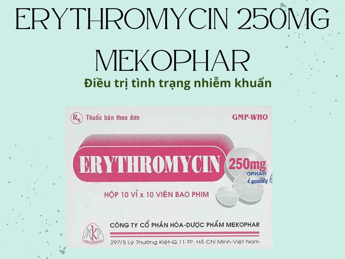 Erythromycin 250mg Mekophar phòng ngừa và điều trị nhiễm khuẩn