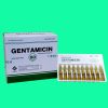Gentamicin 80mg/2ml Vidipha