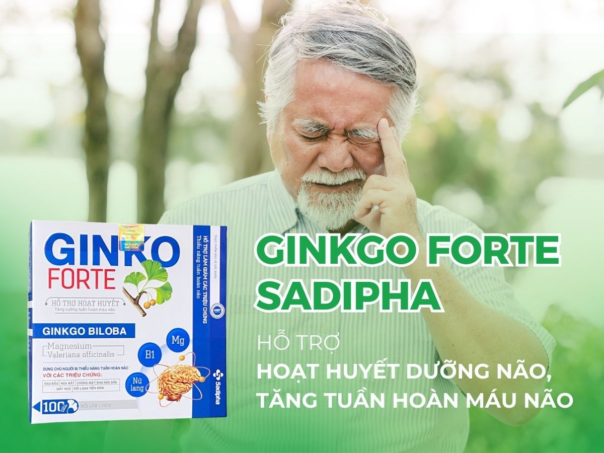 Ginko Forte Sadipha 11 Ginko Forte Sadipha hỗ trợ hoạt huyết dưỡng não, tăng tuần hoàn máu não