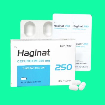 Haginat 250