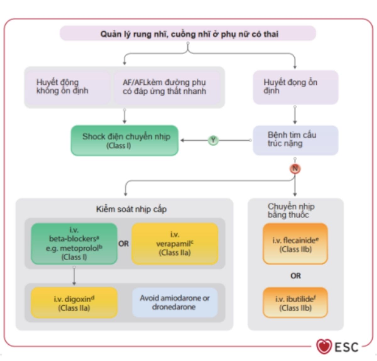 Khuyến cáo ESC 2025 về quản lý bệnh lý tim mạch ở sản phụ : cập nhật và thay đổi so với ESC 2018 55 Hình 15: Quản lý rung-cuồng nhĩ ở phụ nữ có thai