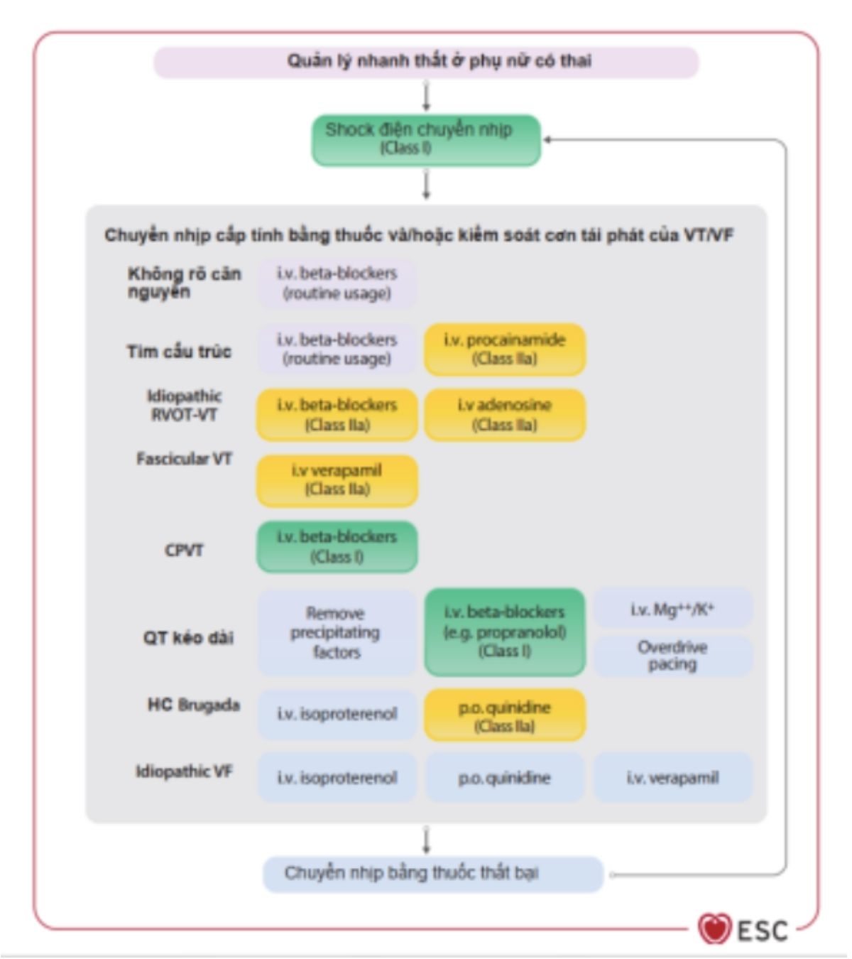 Khuyến cáo ESC 2025 về quản lý bệnh lý tim mạch ở sản phụ : cập nhật và thay đổi so với ESC 2018 56 Hình 16: Quản lý nhanh thất ở phụ nữ có thai