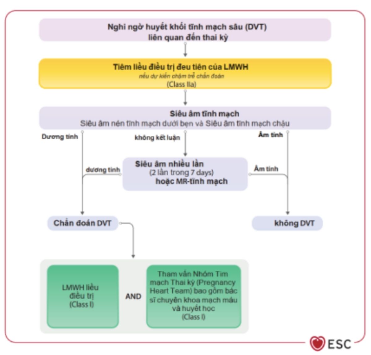 Khuyến cáo ESC 2025 về quản lý bệnh lý tim mạch ở sản phụ : cập nhật và thay đổi so với ESC 2018 47 Hình 9: Sơ đồ chẩn đoán và điều trị huyết khối tĩnh mạch sâu khi đang mang thai