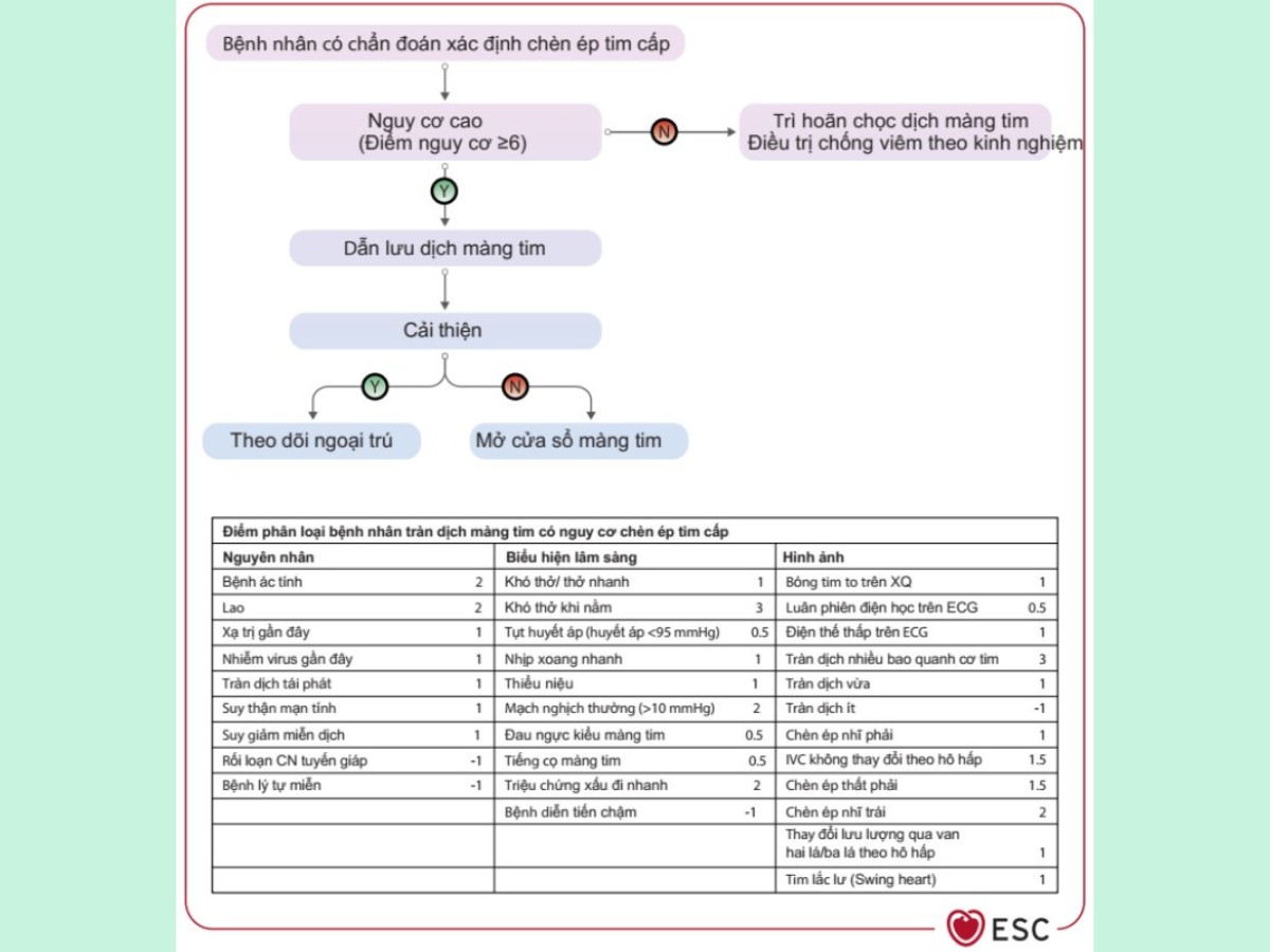Hình 12. Xử trí chèn ép tim