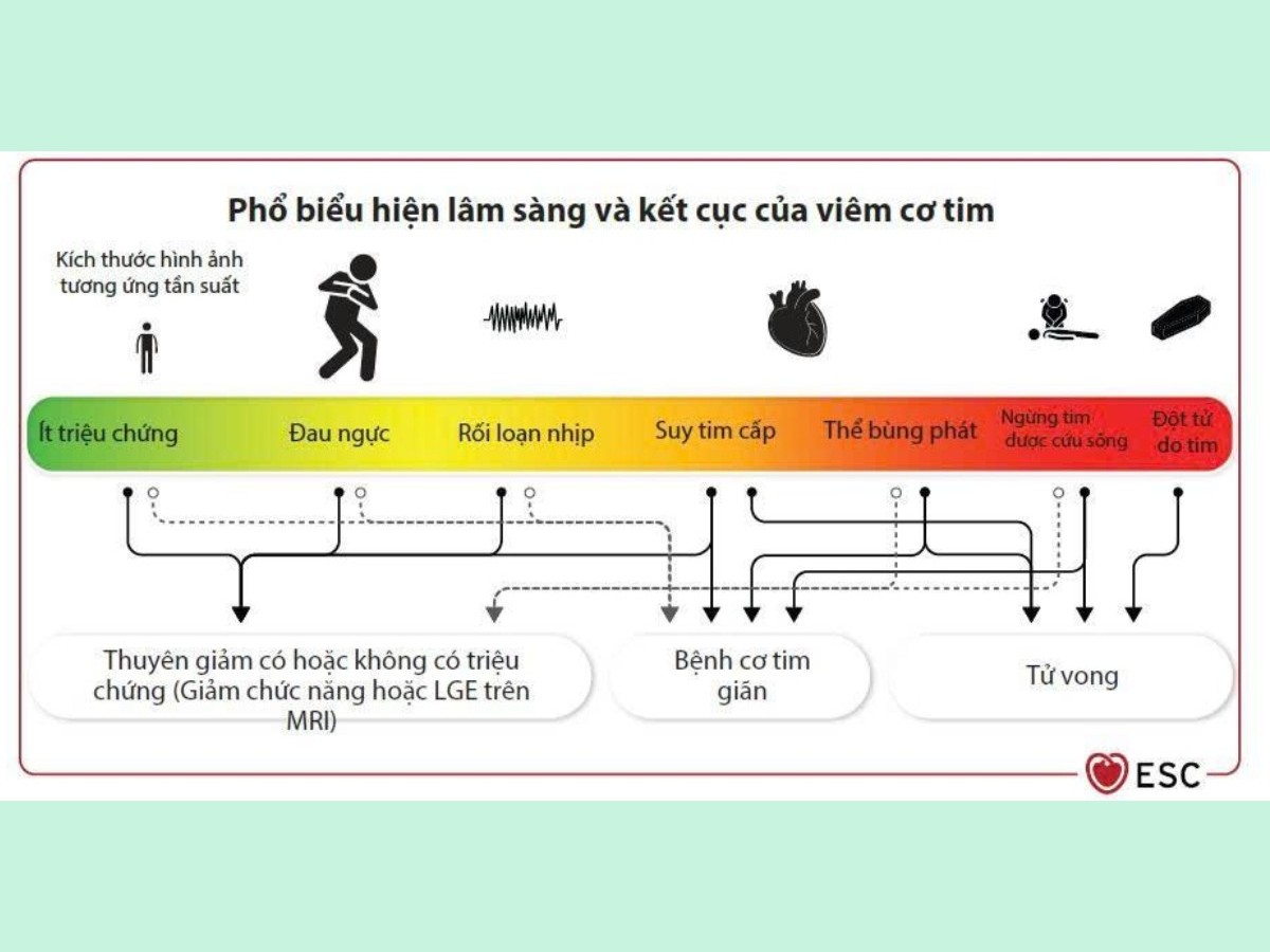 Hình 8. Biểu hiện và tiên lượng của viêm cơ tim