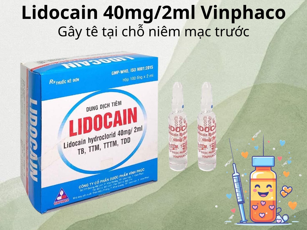 Lidocain 40mg/2ml Vinphaco gây tê tại chỗ niêm mạc trước