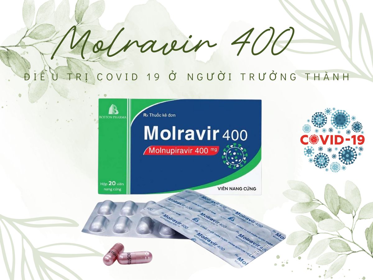 Molravir 400 13 Thuốc Molravir 400 điều trị COVID 19 ở người trưởng thành