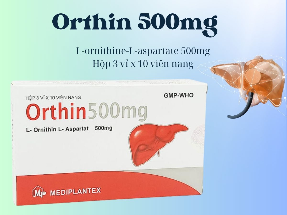 Orthin 500mg hỗ trợ điều trị viêm gan cấp tính và mạn tính