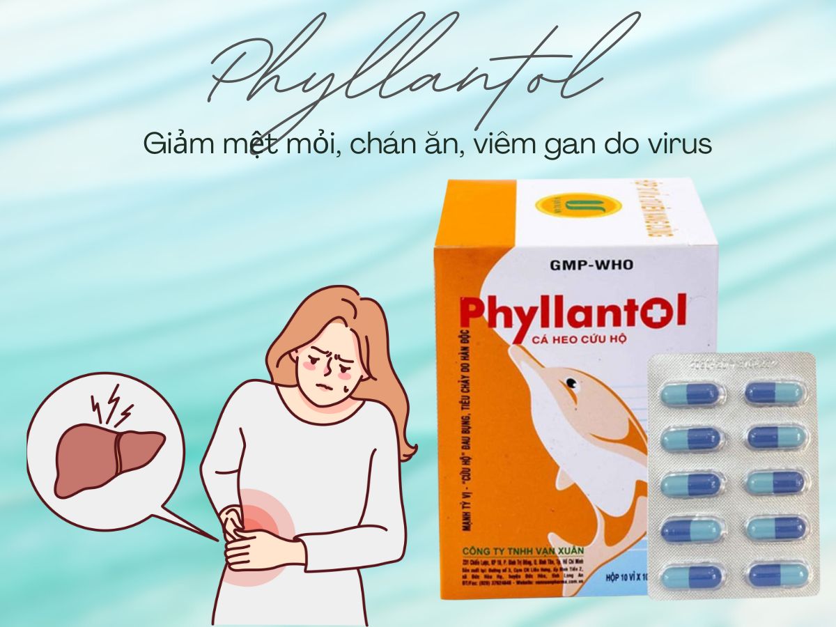 Phyllantol 15 Phyllantol điều trị tình trạng viêm gan siêu vi, đau bụng