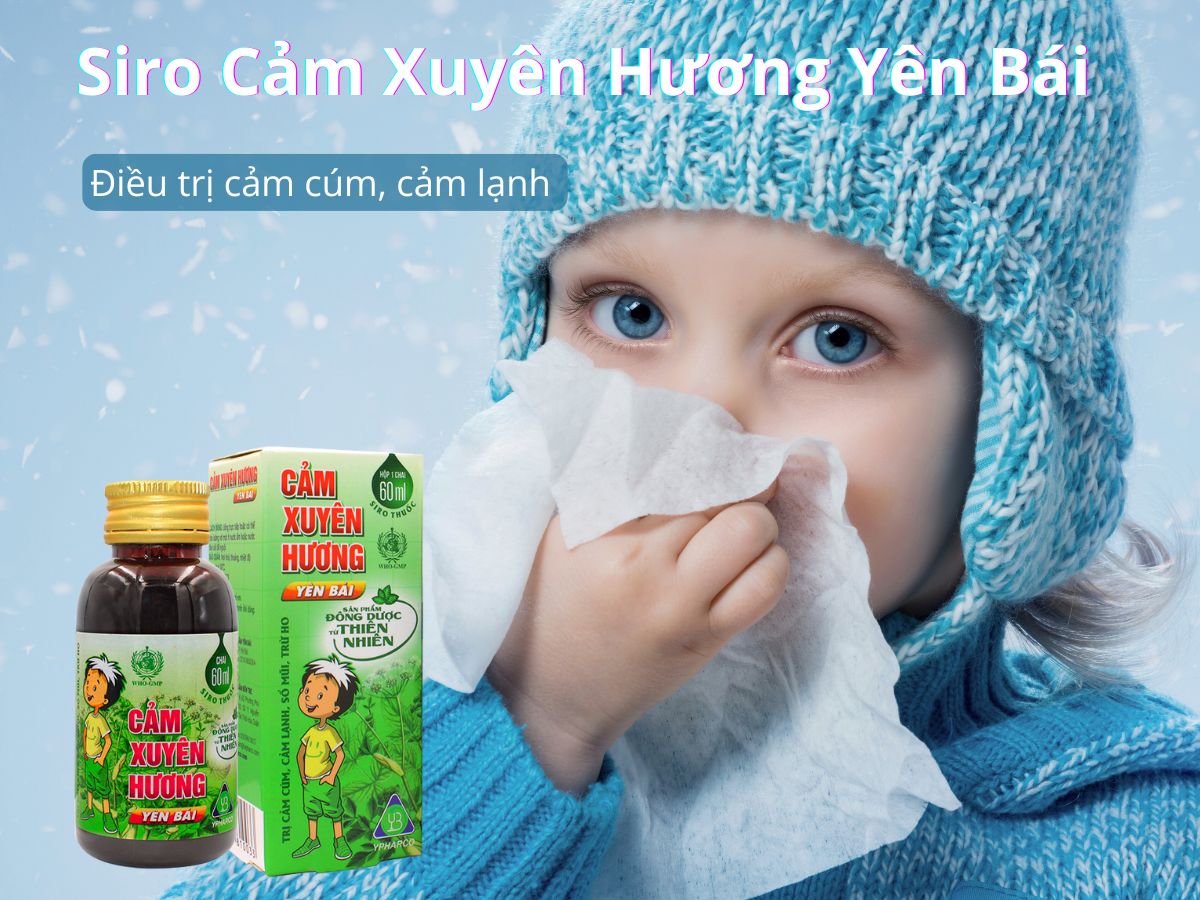 Siro Cảm Xuyên Hương Yên Bái