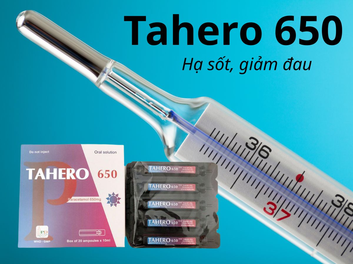Tahero 650