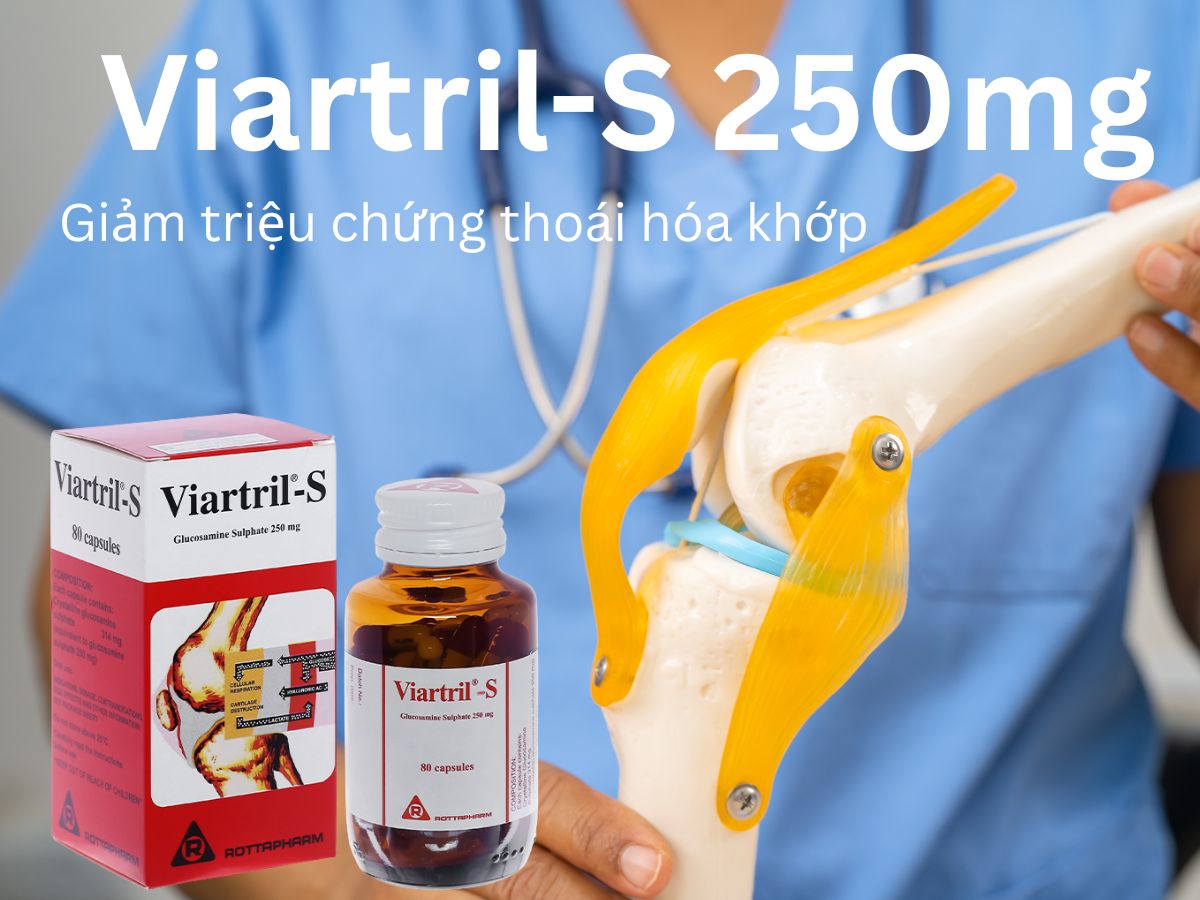 Viartril-S 250mg