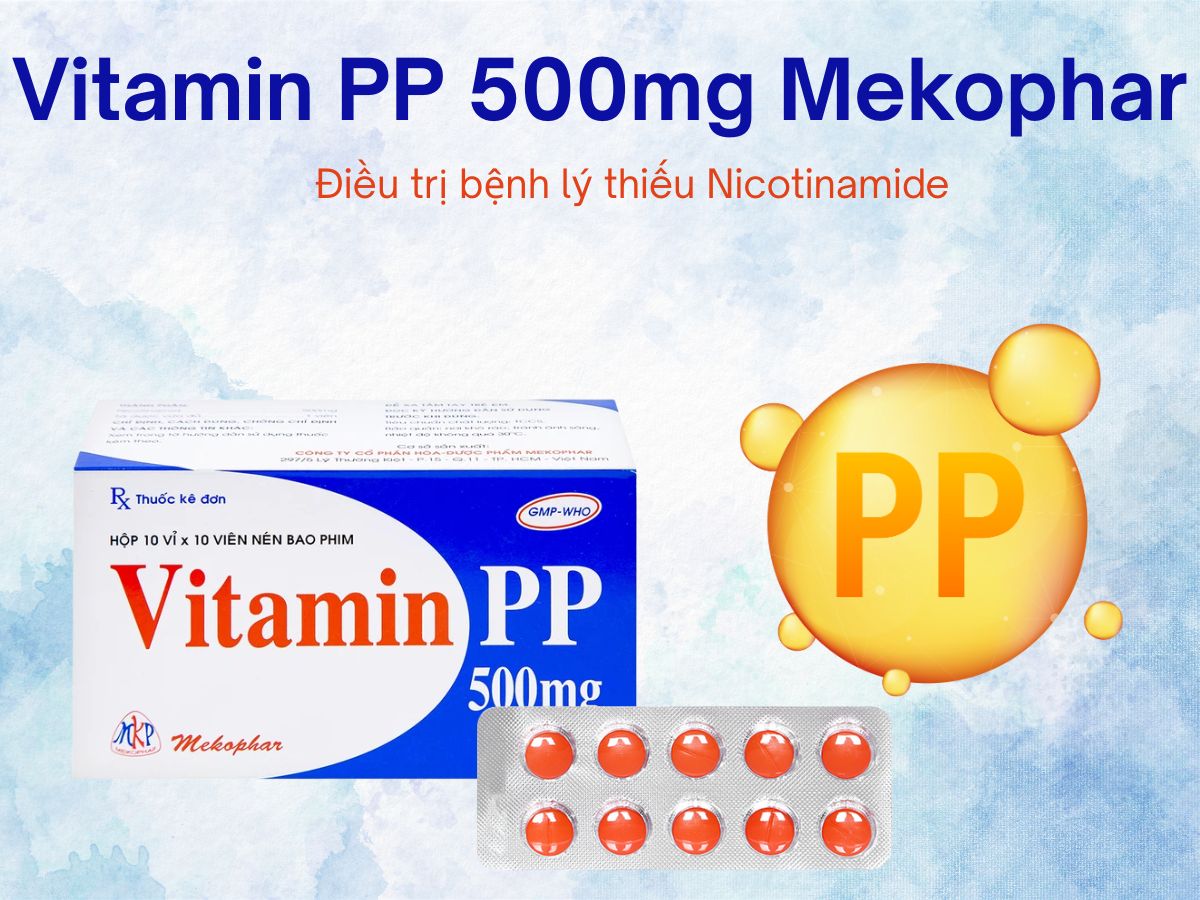 Vitamin PP 500mg Mekophar