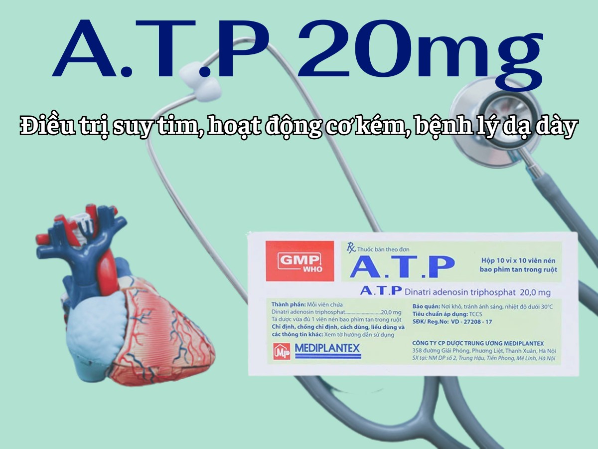 A.T.P 20mg điều trị suy tim, hoạt động cơ kém, bệnh lý dạ dày