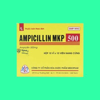 ampicillin 500mg mekophar 1