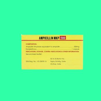 ampicillin 500mg mekophar 3