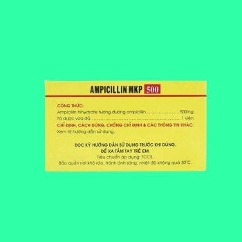 ampicillin 500mg mekophar 4