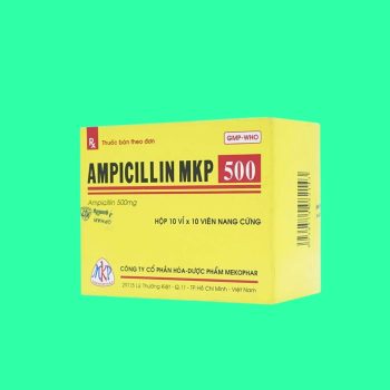 ampicillin 500mg mekophar 5