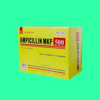 ampicillin 500mg mekophar 6