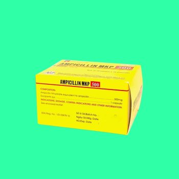 ampicillin 500mg mekophar 8
