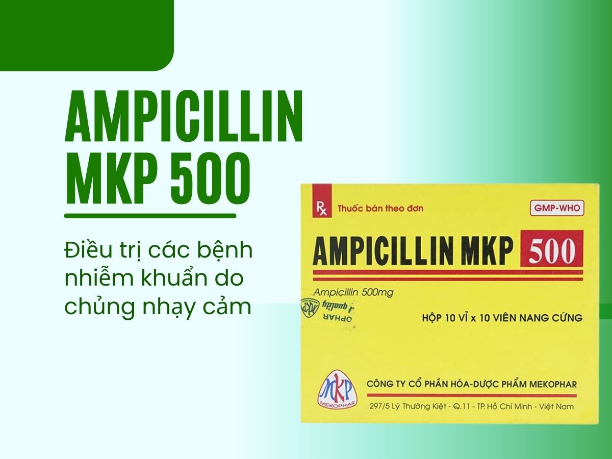 Ampicillin 500mg Mekophar