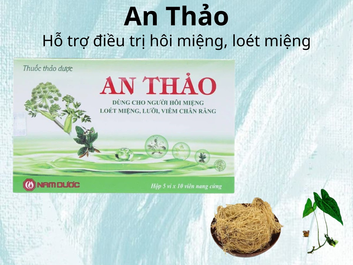 An Thảo hỗ trợ điều trị hôi miệng, loét miệng