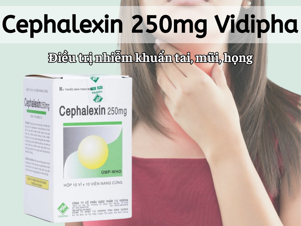 Cephalexin 250mg Vidipha điều trị nhiễm khuẩn tai mũi họng