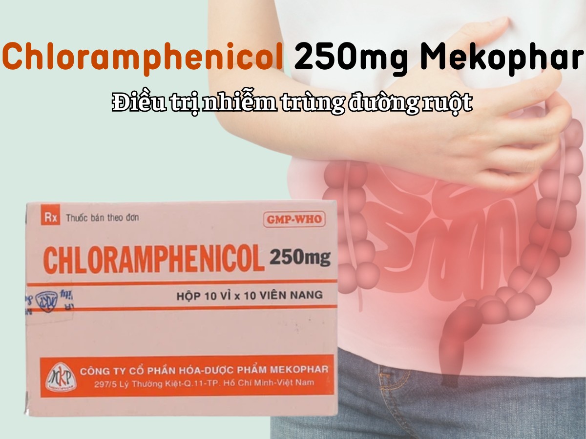 Chloramphenicol 250mg Mekophar 6 Chloramphenicol 250mg Mekophar điều trị nhiễm khuẩn đường ruột