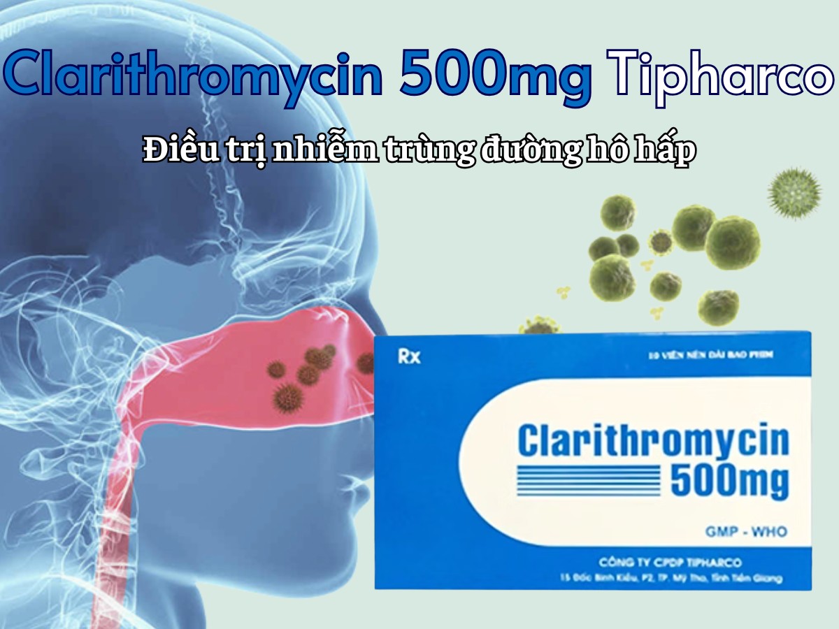Clarithromycin 500mg Tipharco điều trị nhiễm trùng đường hô hấp