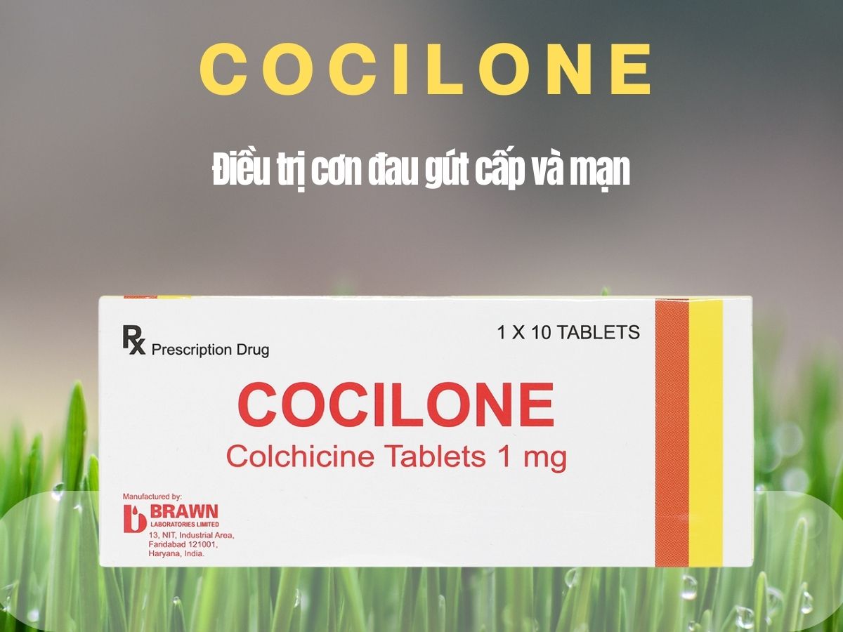 Cocilone