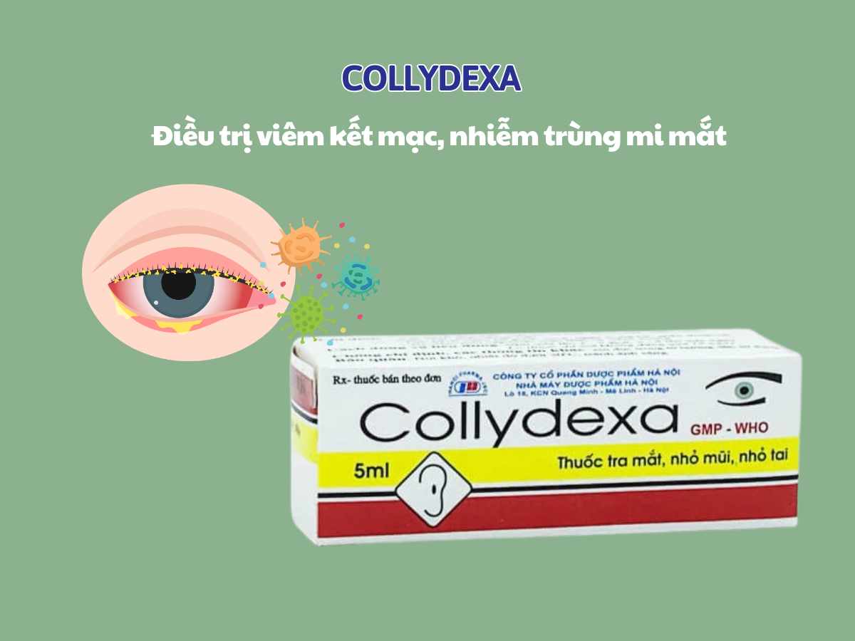 Collydexa điều trị viêm kết mạc, nhiễm trùng mi mắt