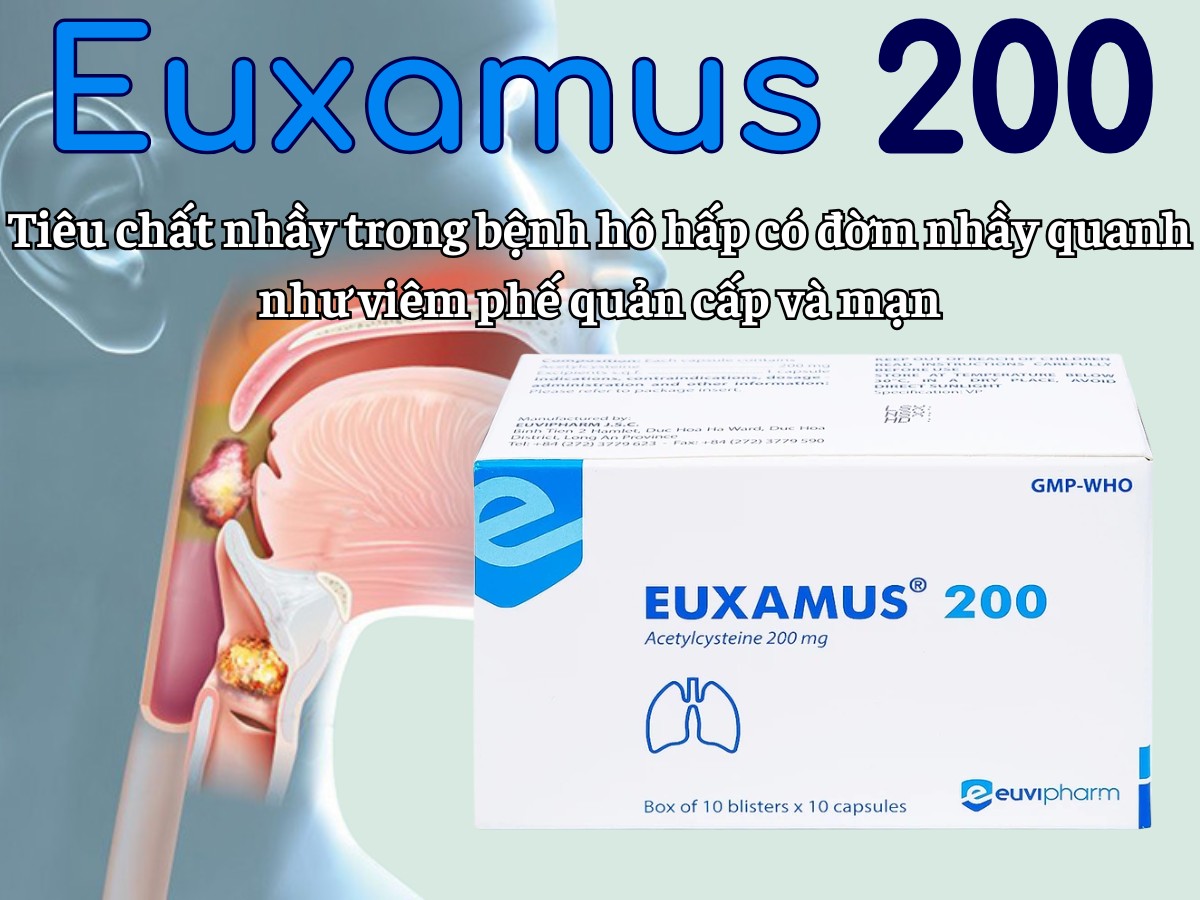Euxamus 200 tiêu chất nhầy trong bệnh hô hấp có đờm nhầy quanh như viêm phế quản cấp và mạn