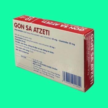Gon sa atzeti