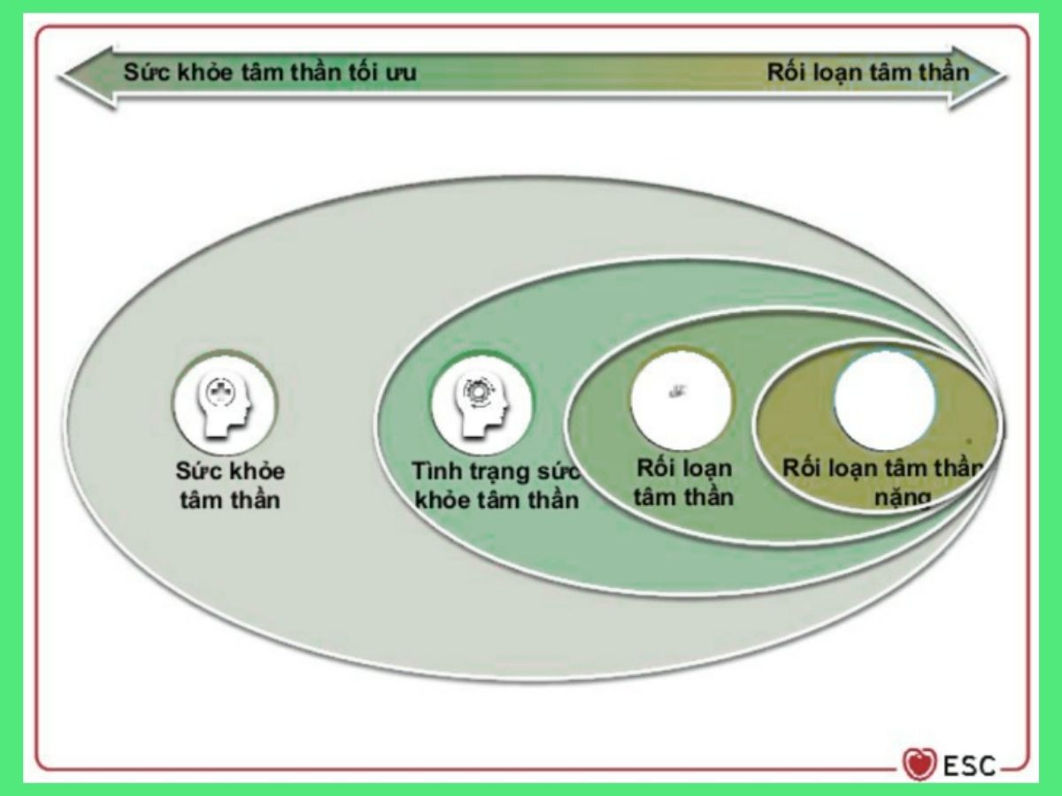 Hình 1: Khái niệm sức khỏe tâm thần trong đồng thuận