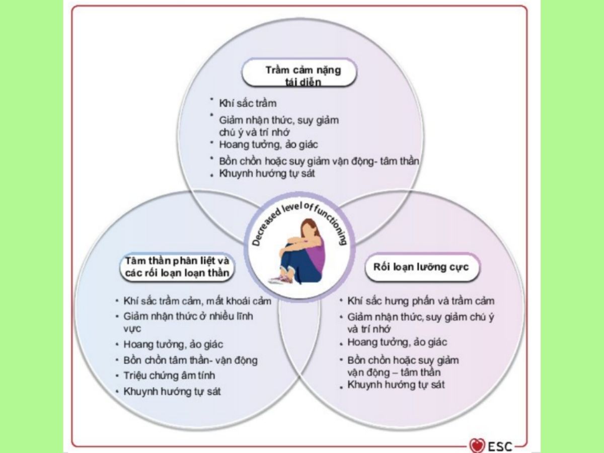 Hình 11: Bệnh lý tâm thần nghiêm trọng