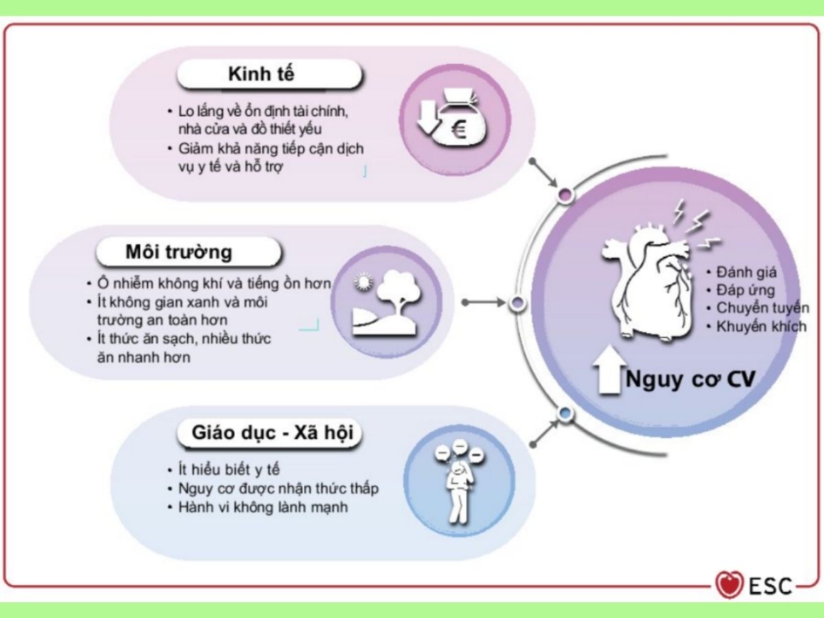 Hình 17: Tình trạng kinh tế xã hội và nguy cơ tim mạch