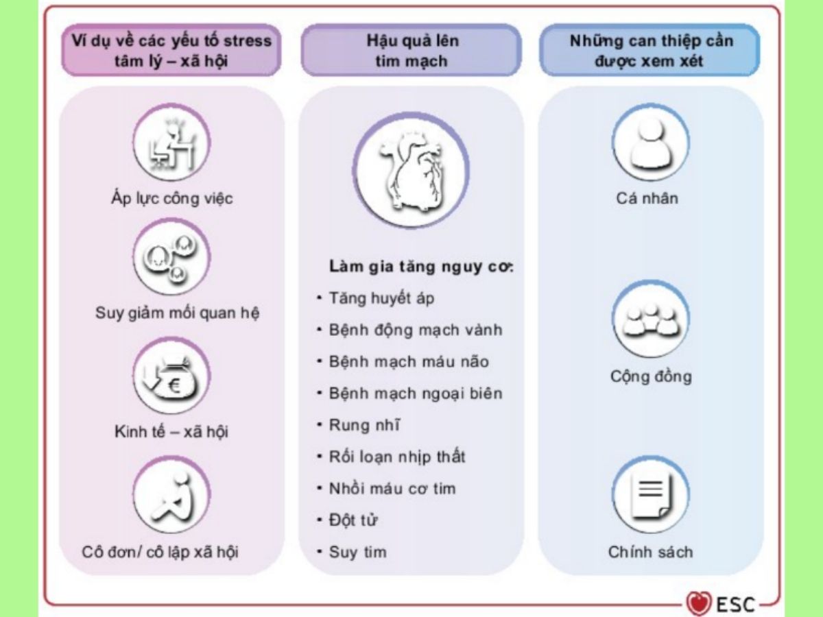 Hình 5: Nguồn gốc stress tâm lý – yếu tố nguy cơ bệnh tim mạch