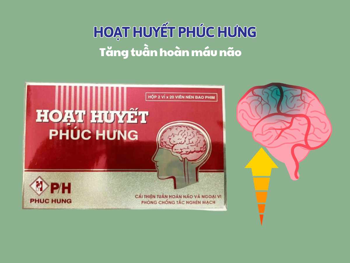 Hoạt Huyết Phúc Hưng tăng tuần hoàn máu não