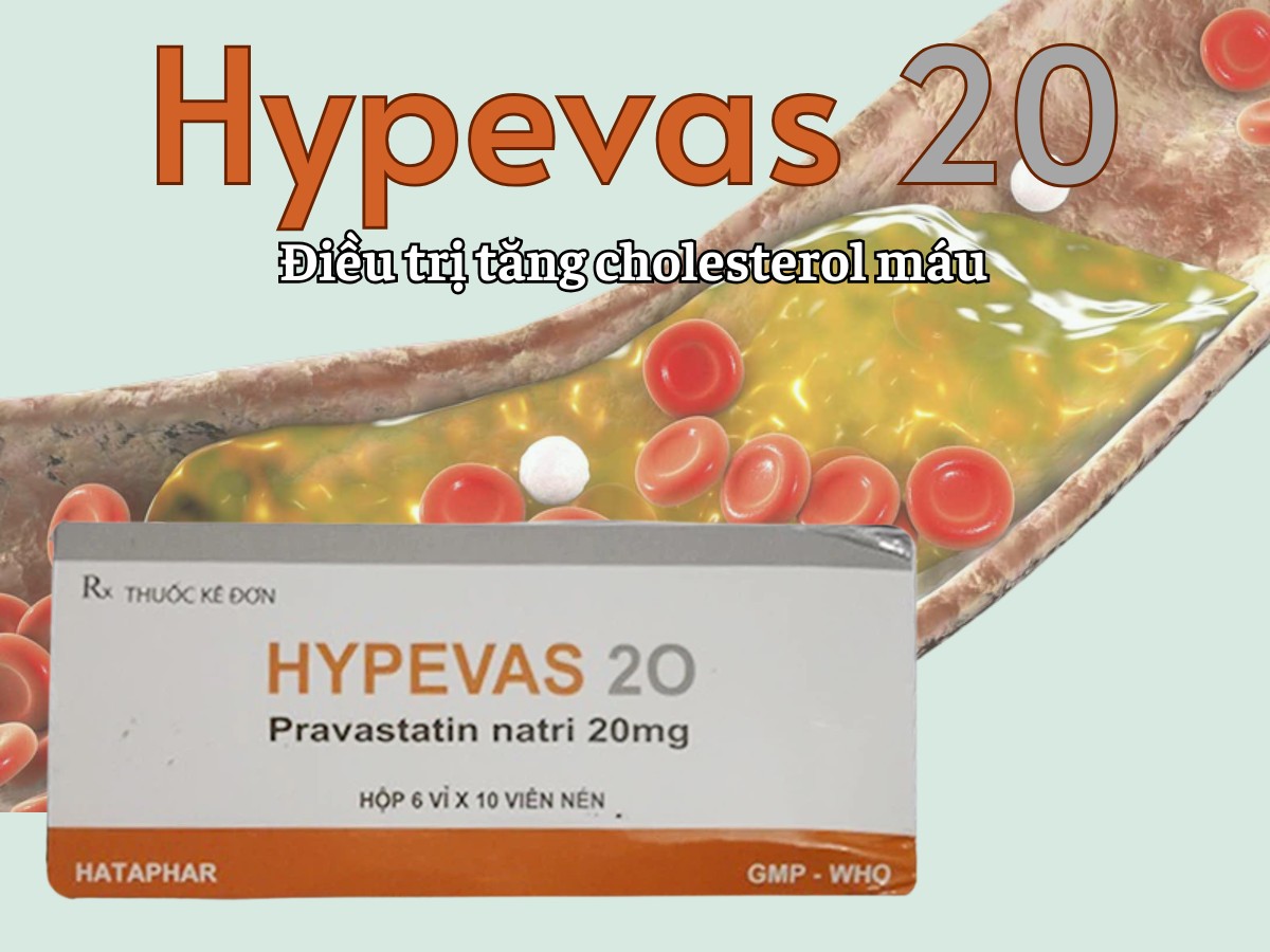 Hypevas 20 điều trị tăng cholesterol máu