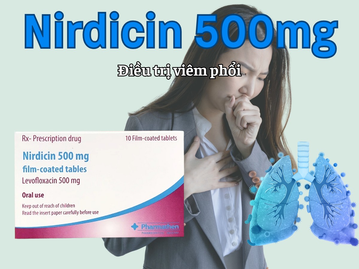 Nirdicin 500mg 6 Nirdicin 500mg điều trị viêm phổi, viêm thận - bể thận, viêm tuyến tiền liệt