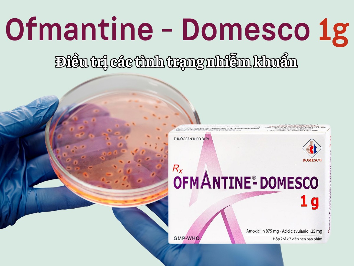 Ofmantine-Domesco 1g điều trị nhiễm khuẩn