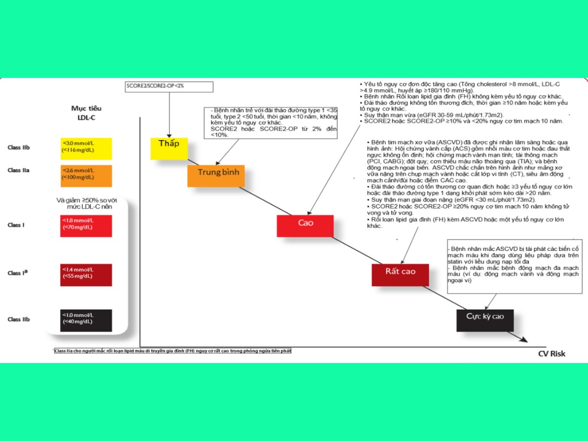 Hình 1. Mục tiêu điều trị cholesterol lipoprotein tỷ trọng thấp (LDL-C) theo các nhóm nguy cơ tim mạch toàn bộ