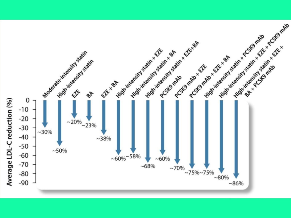 Hình 2: Mức giảm trung bình cholesterol lipoprotein tỷ trọng thấp (LDL-C) với các liệu pháp thuốc khác nhau có lợi ích tim mạch được chứng minh