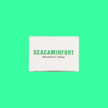 Seacaminfort