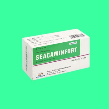 Seacaminfort